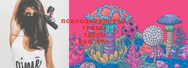 СК Белокуриха