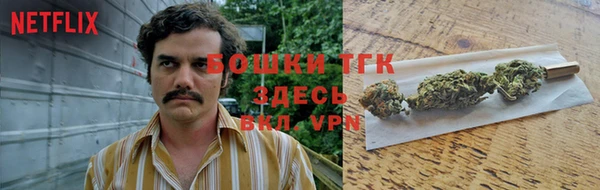 СК Белокуриха