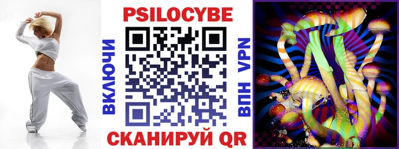 Псилоцибиновые грибы Cubensis Чкаловск