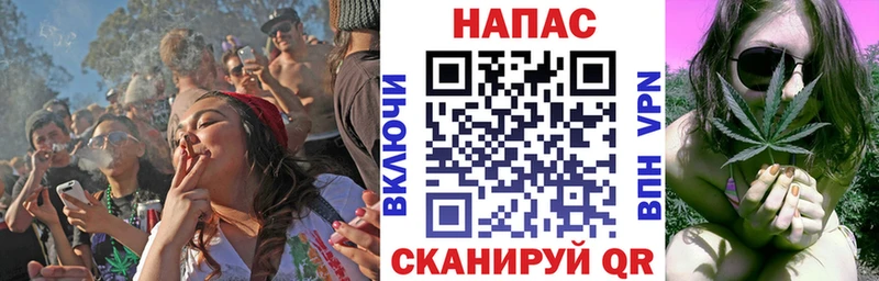 Бошки Шишки семена  OMG tor  Чкаловск  цены наркотик 